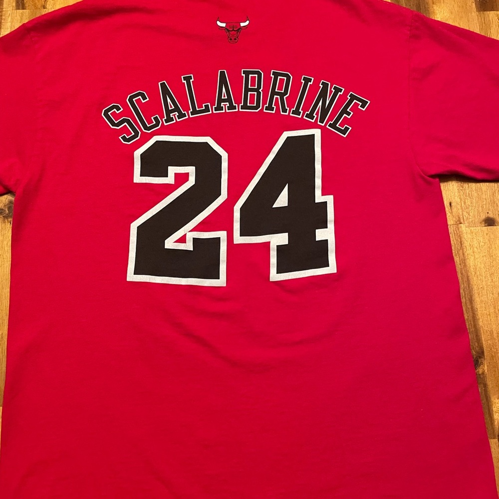 Brian Scalabrine “white mamba” vintage Bulls shirt